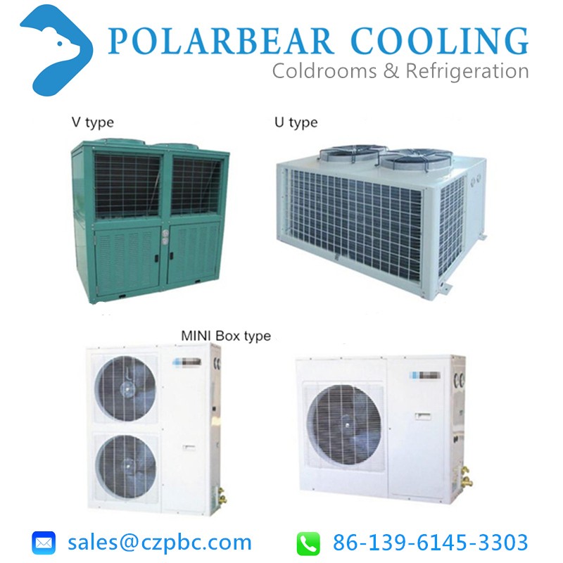 Air cooled Condensing Unit for cold room